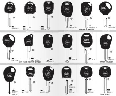 Saray Oto Anahtarcı